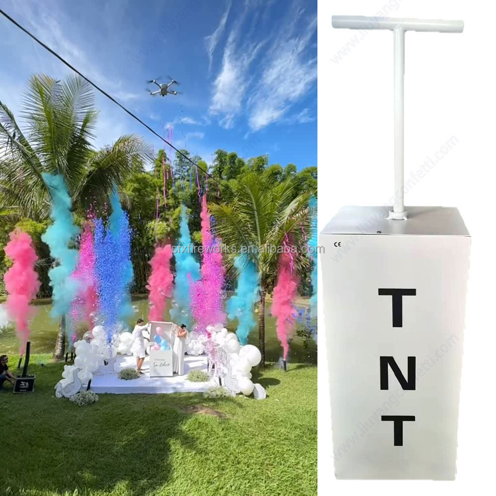 Electric Gender Reveal Smoke B - Confetti Cannon Tube recension och pris