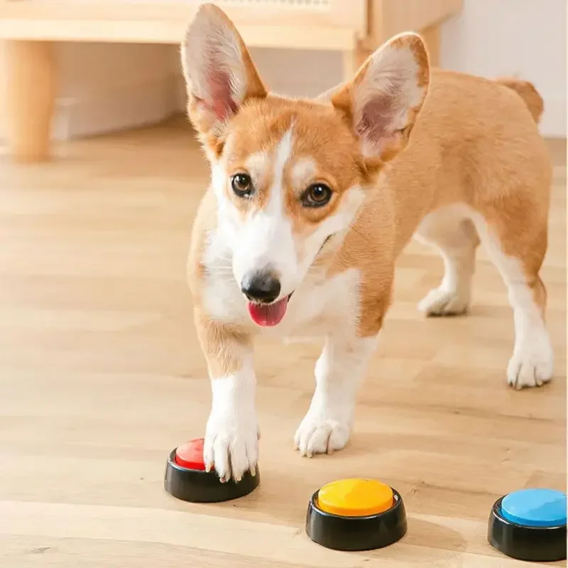 2026 Recordable Talking Pet Bu - Event Party Box recension och pris