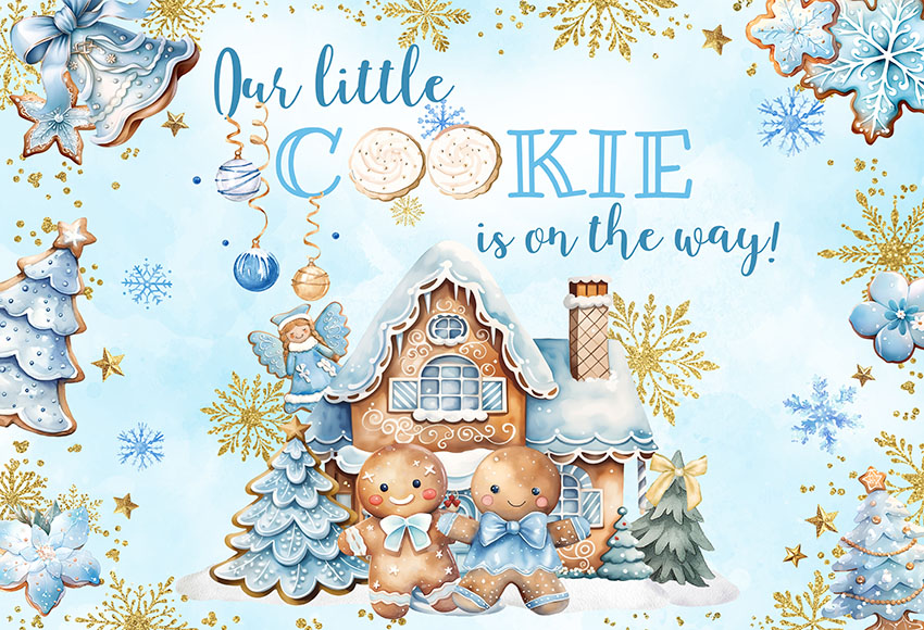 Christmas Gingerbread Baby Sho - Dessert Table Backdrop recension och pris